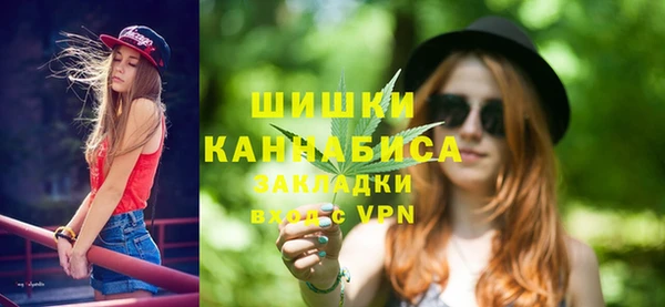 спайс Рославль