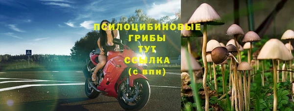 гашик Баксан