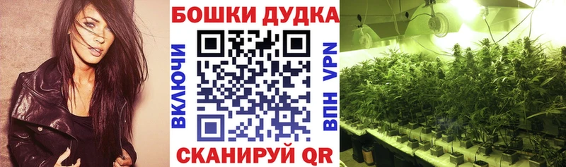 KRAKEN ССЫЛКА  продажа наркотиков  Бор  Бошки Шишки VHQ 