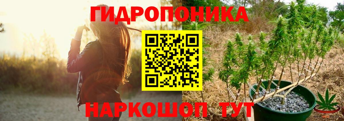 Каннабис планчик  Вход с VPN  МАРИХУАНА индика  Конопля ГИДРОПОН  Бор  МАРИХУАНА марихуана 